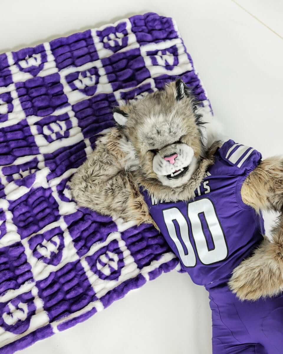 Weber State Wildcats mascot lounging on purple checkered Wildcats blanket.