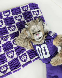 Weber State Wildcats mascot lounging on purple checkered Wildcats blanket.