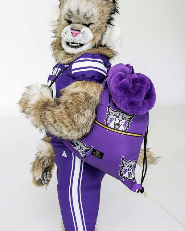 Weber State Wildcats mascot holding purple blanket and matching pillow in studio setting.