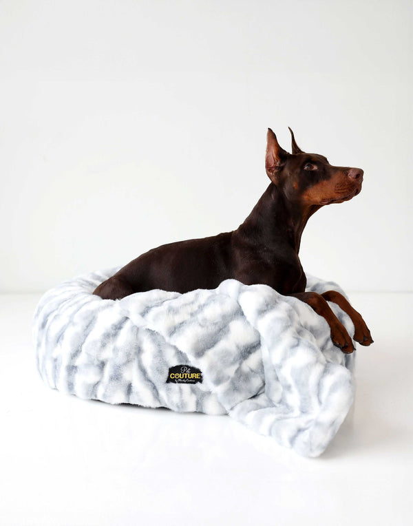 Dog lying on a textured blue and white pet bed with matching blanket on a white background.