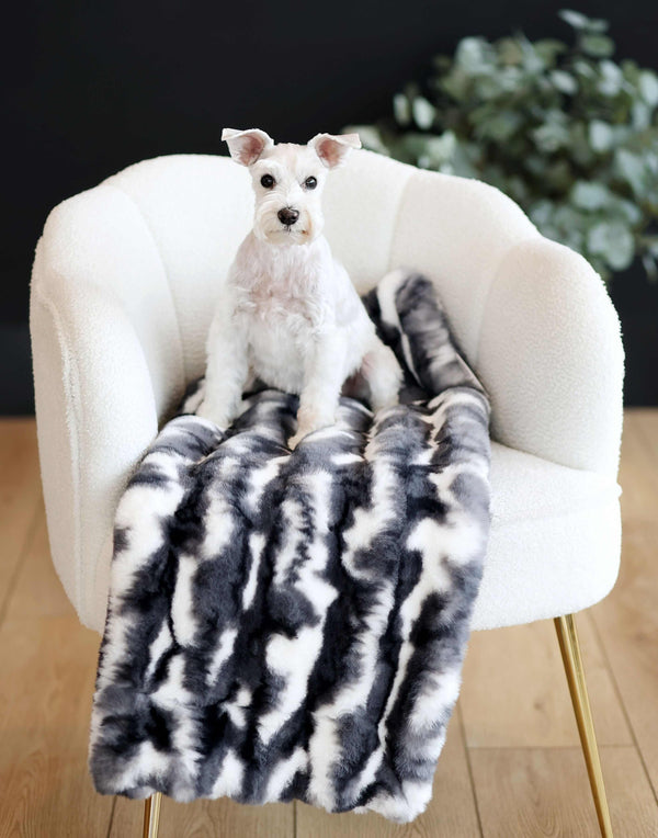 Dog sitting on a white chair with a gray and black Cloudy Day Black Pet Blanket.