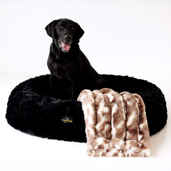 Black dog sitting on a fluffy black pet bed with a brown and white patterned blanket next to it.