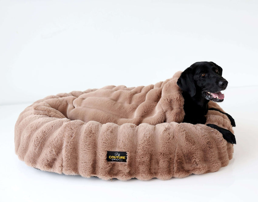 Dog lying on a fluffy brown pet bed with brown pet blanket over his back.