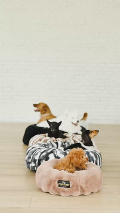 Dogs relaxing in cozy Minky Couture Pet Beds and soft blankets for ultimate comfort.