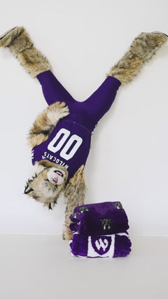 Weber State Wildcats mascot wrapped in a purple and white Minky Couture collegiate blanket in a studio setting.